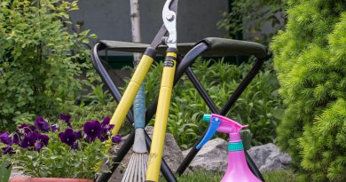 Wer hat einen grünen Daumen?